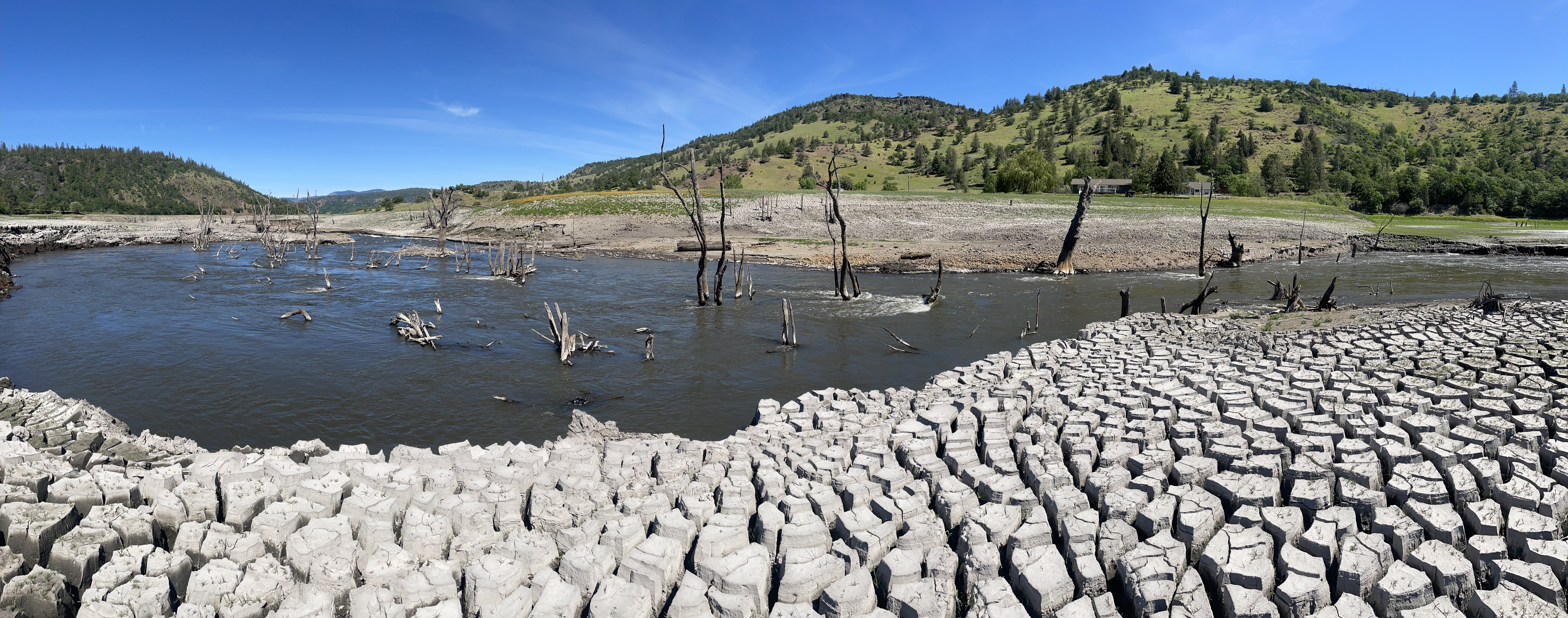 Copco blocks and floodplain forest