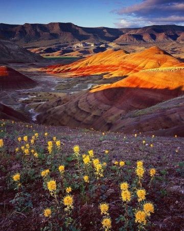 John Day Painted Hills